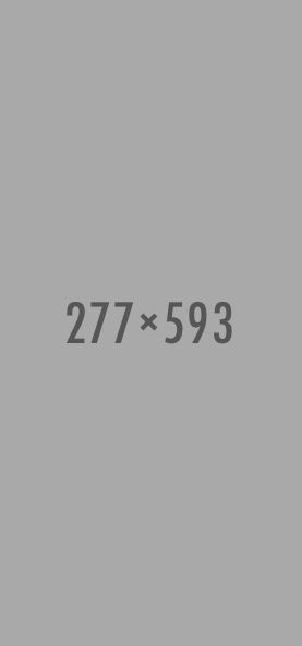 Banner 11